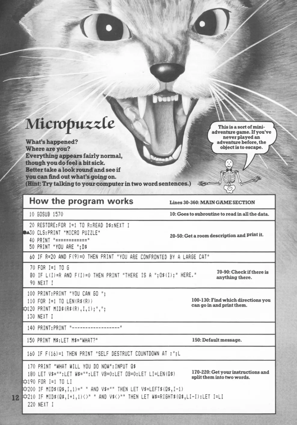 Micropuzzle, sida 1 — Usborne Weird Computer Games
